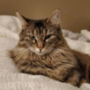 Meet your Posher, Siobhan